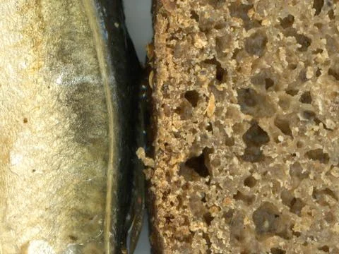 Brown bread and fish Stock Photos