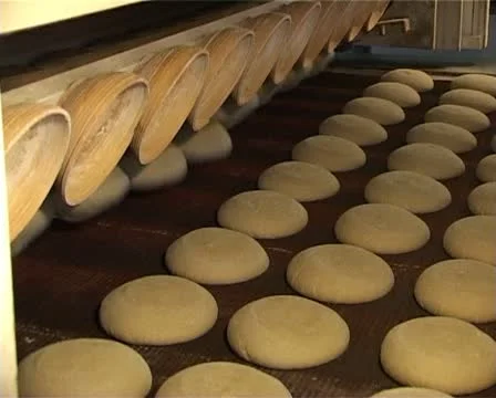 Brown bread conveyor Stock-Footage 12159705