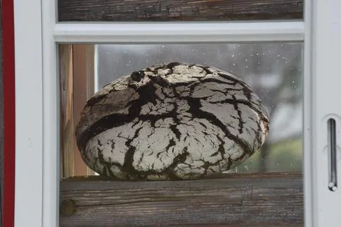 Brown bread or wheat bread Stock Photos