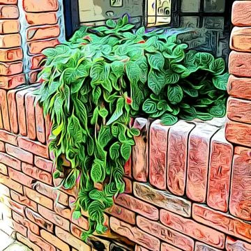 Brown brick wall decorated with trees Stock Photos