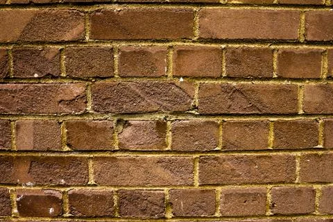 Brown brick wall Photos