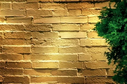 Brown Brick Wall Texture Stock Footage 371719