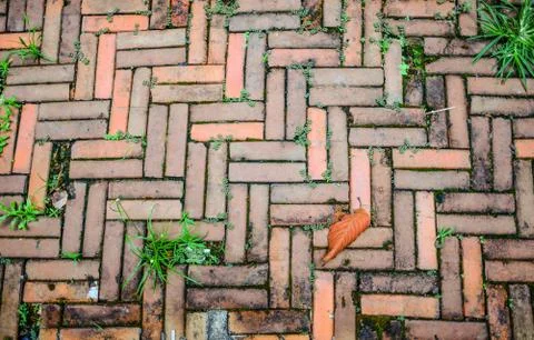 Brown bricks pattern and green grass Stock Photos