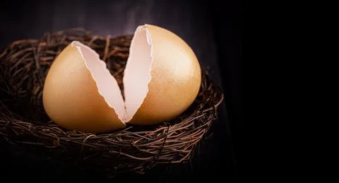 Brown  broken egg shells in the nest on wooden surface Stock Photos