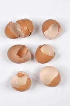 Brown broken eggshells Stock Photos