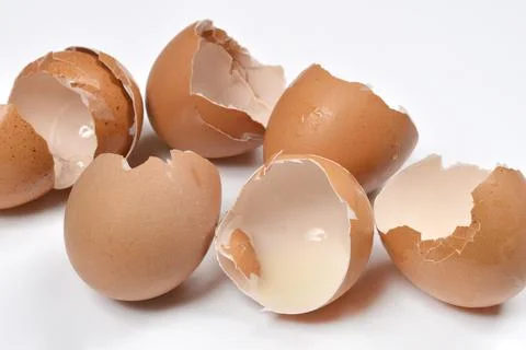 Brown broken eggshells Stock Photos