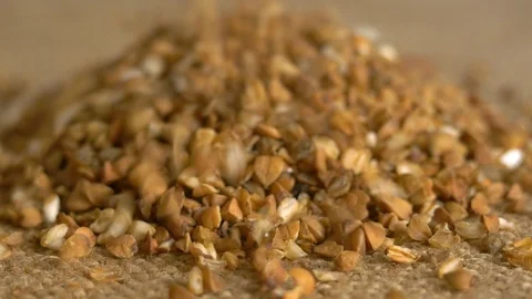 Brown buckwheat close-up. Stock Footage 103137834
