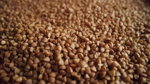 Brown buckwheat grains falling close-up Video stock 195945797