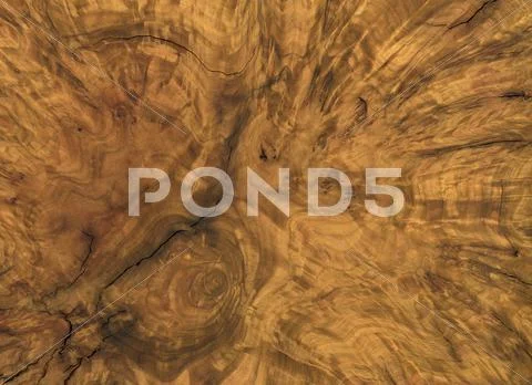 Brown burl wood detail Stock Photos