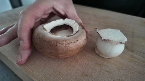 Brown button mushroom cap showing inner cavity Stock-Footage 347019946