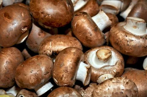 Brown button mushrooms Foto stock