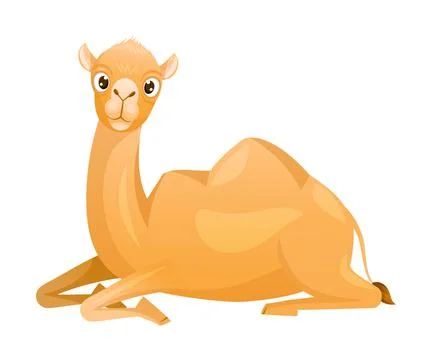 Brown Camel as Even-toed Ungulate Desert Animal Sitting on the Ground Vector Stock Illustration