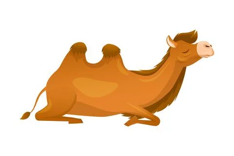 Brown Camel as Even-toed Ungulate Desert Animal Sitting Vector Illustration Stock Illustration