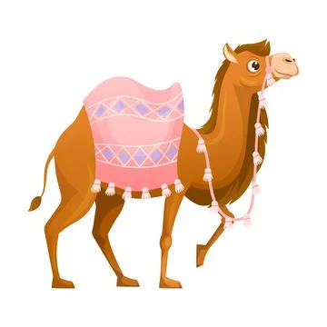 Brown Camel as Even-toed Ungulate Desert Animal with Saddle Walking Vector Stock Illustration