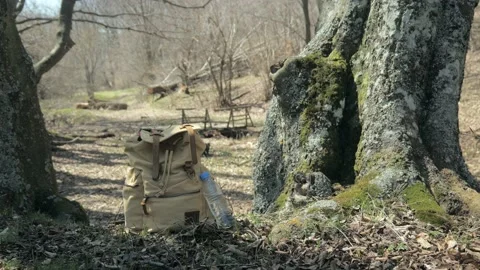 Brown canvas rucksack and plastic water bottle on leafy ground in forest Stock Footage 182292416