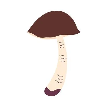 Brown Cap forest mushroom. Fall harvest, raw vegan food. Illustrazione stock