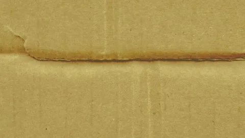 Brown cardboard texture with fold background Stock Footage 328081342