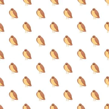 Brown cartoon bird seamless pattern white background Stock Illustration