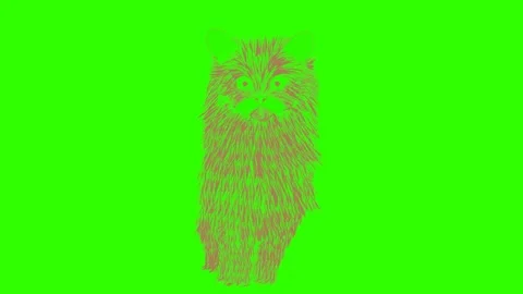 Brown cat green screen animation Stock Footage 172539770