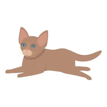 Brown cat lying down with blue eyes and tail extended Illustrazione stock