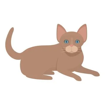 Brown cat lying down with blue eyes looking curious Illustrazione stock