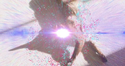 Brown cat lying in sun patch, brief pause creating pink-cyan particles and Stock Footage 330713614