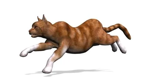 Brown cat in motion isolated on white background Stock-Illustration