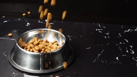 Brown cat or dog kibble in a metal bowl isolated top view close-up. Stock Footage 263842985