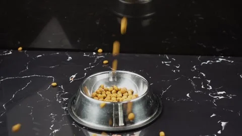 Brown cat or dog kibble in a metal bowl isolated top view close-up. Stock Footage 263843053