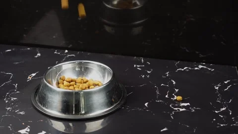 Brown cat or dog kibble in a metal bowl isolated top view close-up. Stock Footage 263843145