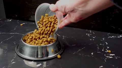Brown cat or dog kibble in a metal bowl isolated top view close-up. Stock Footage 263843407