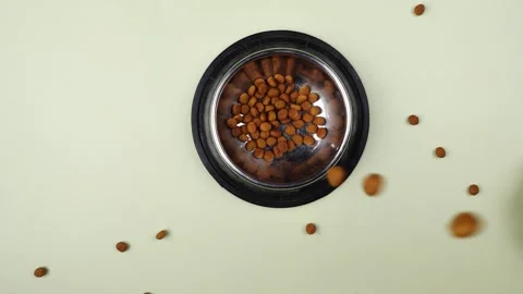 Brown cat or dog kibble in a metal bowl isolated top view close-up. Stock Footage 263843535