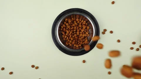 Brown cat or dog kibble in a metal bowl isolated top view close-up. Stock Footage 263843552