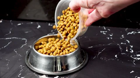 Brown cat or dog kibble in a metal bowl isolated top view close-up. Stock Footage 263843716