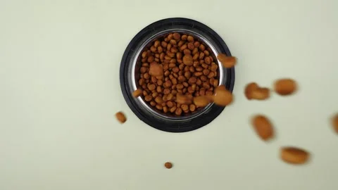 Brown cat or dog kibble in a metal bowl isolated top view close-up. Stock Footage 263843994