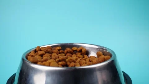 Brown cat or dog kibble in a metal bowl isolated top view close-up. Stock Footage 263844156