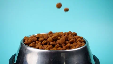 Brown cat or dog kibble in a metal bowl isolated top view close-up. Stock Footage 263844240