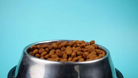 Brown cat or dog kibble in a metal bowl isolated top view close-up. Stock Footage 263844280