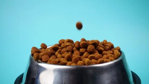 Brown cat or dog kibble in a metal bowl isolated top view close-up. Stock Footage 263844617