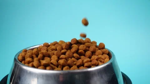 Brown cat or dog kibble in a metal bowl isolated top view close-up. Stock Footage 263844692