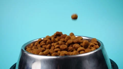 Brown cat or dog kibble in a metal bowl isolated top view close-up. Stock Footage 263844699
