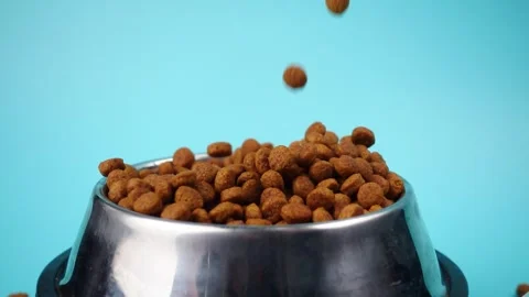 Brown cat or dog kibble in a metal bowl isolated top view close-up. Stock Footage 263844894