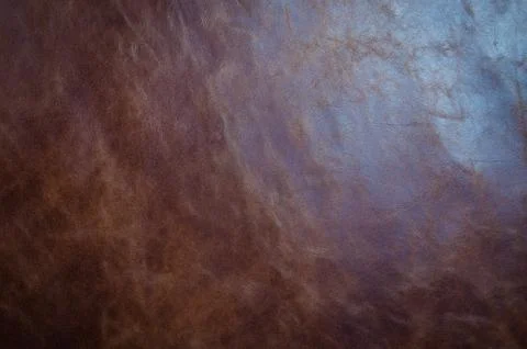 Brown cattle skin texture with empty place for text top view, background for Stock Photos