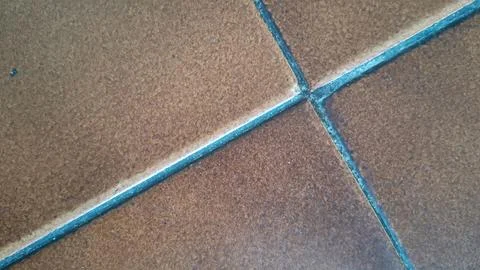 Brown ceramic floor tiles featuring dark grout lines forming crosses 写真素材