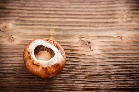 Brown champignon Stock Photos
