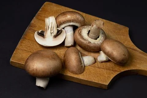 Brown champignons on a black background. Champignon variety.  Stock Photos