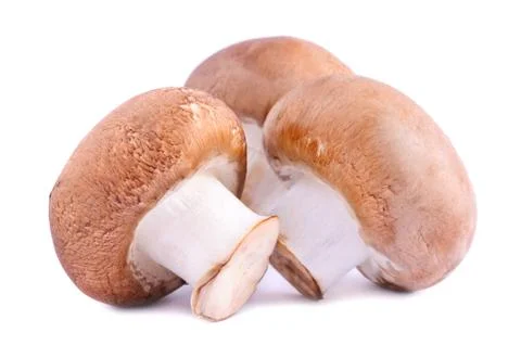 Brown champignons Stock Photos