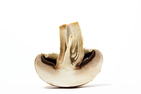 Brown champignons on a white background. Champignon variety. Stock Photos
