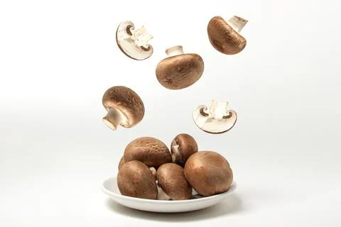 Brown champignons on a white background. Champignons fall into a plate. Stock Photos