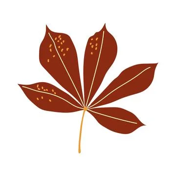 Brown chestnut leaf vector autumn illustration isolated on white background Stock Illustration